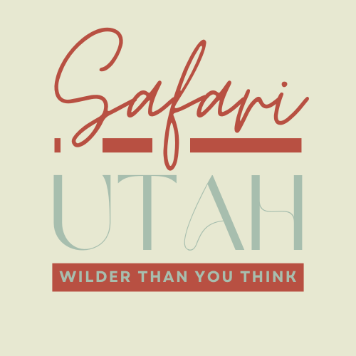 Safari Utah Logo